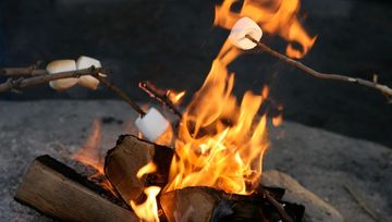 Marshmellows roasting on sticks over campfire