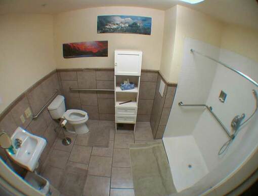 ADA Bathroom, showing roll in shower with grab bars, toilet with grab bars, floating sink